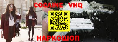 тгк Кингисепп