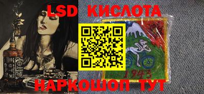 тгк Кингисепп
