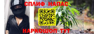 тгк Кингисепп