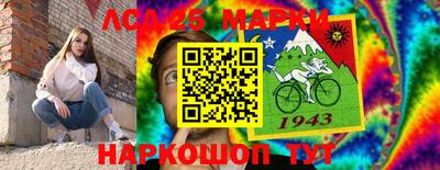 тгк Кингисепп