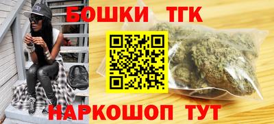 тгк Кингисепп