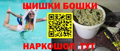 тгк Кингисепп