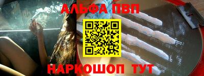 тгк Кингисепп