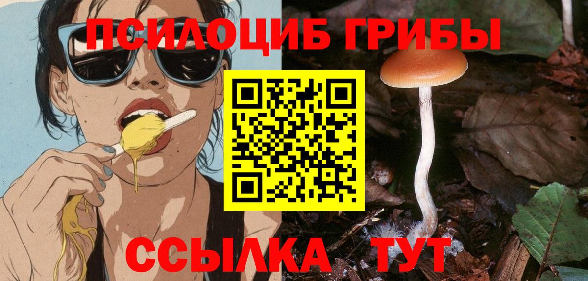 Галлюциногенные грибы Psilocybe Красногорск
