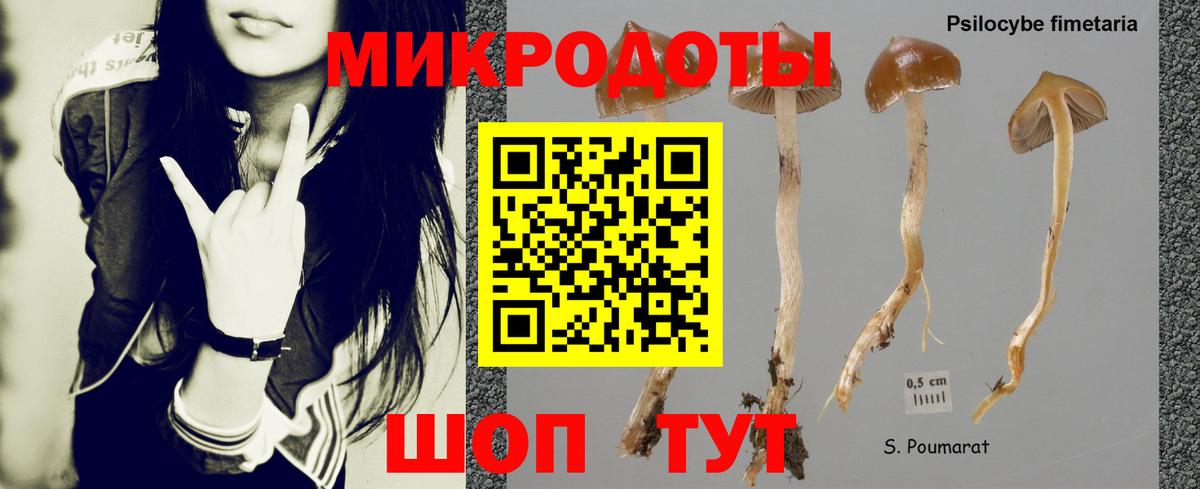 Красногорск  Псилоцибиновые грибы мухоморы  Галлюциногенные грибы ЛСД  Вход с VPN 